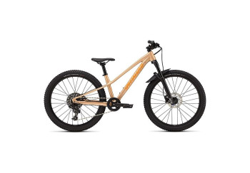 Specialized RIPROCK COMP INT PTNORGTNT/FLKSIL/ORGZST